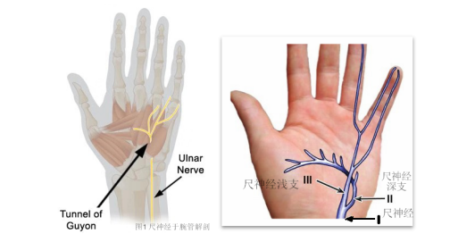 <a href='http://lnzszx.com/' target='_blank'><u>徐州仁慈醫(yī)院</u></a>