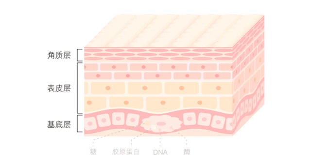 長斑
