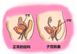 童曉文