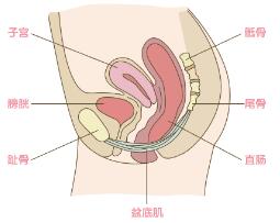 童曉文
