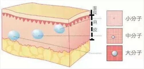 水光針