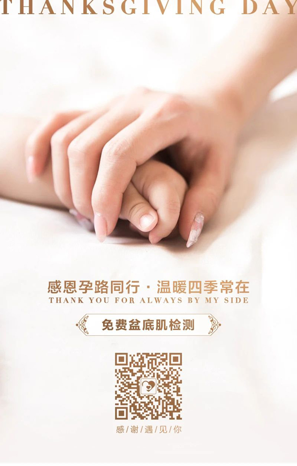 盆底肌